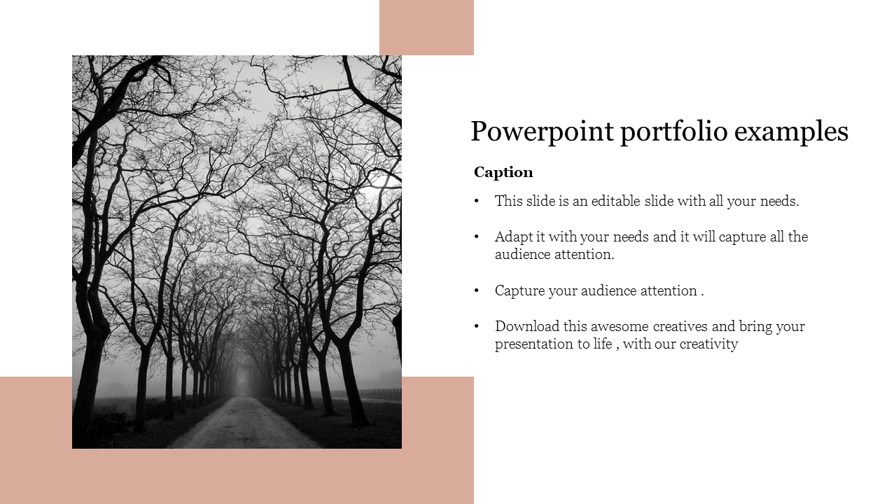 powerpoint portfolio examples